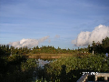 s_PICT0067s.png
